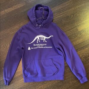 Stranger Things Purple Brontosaurus Hoodie